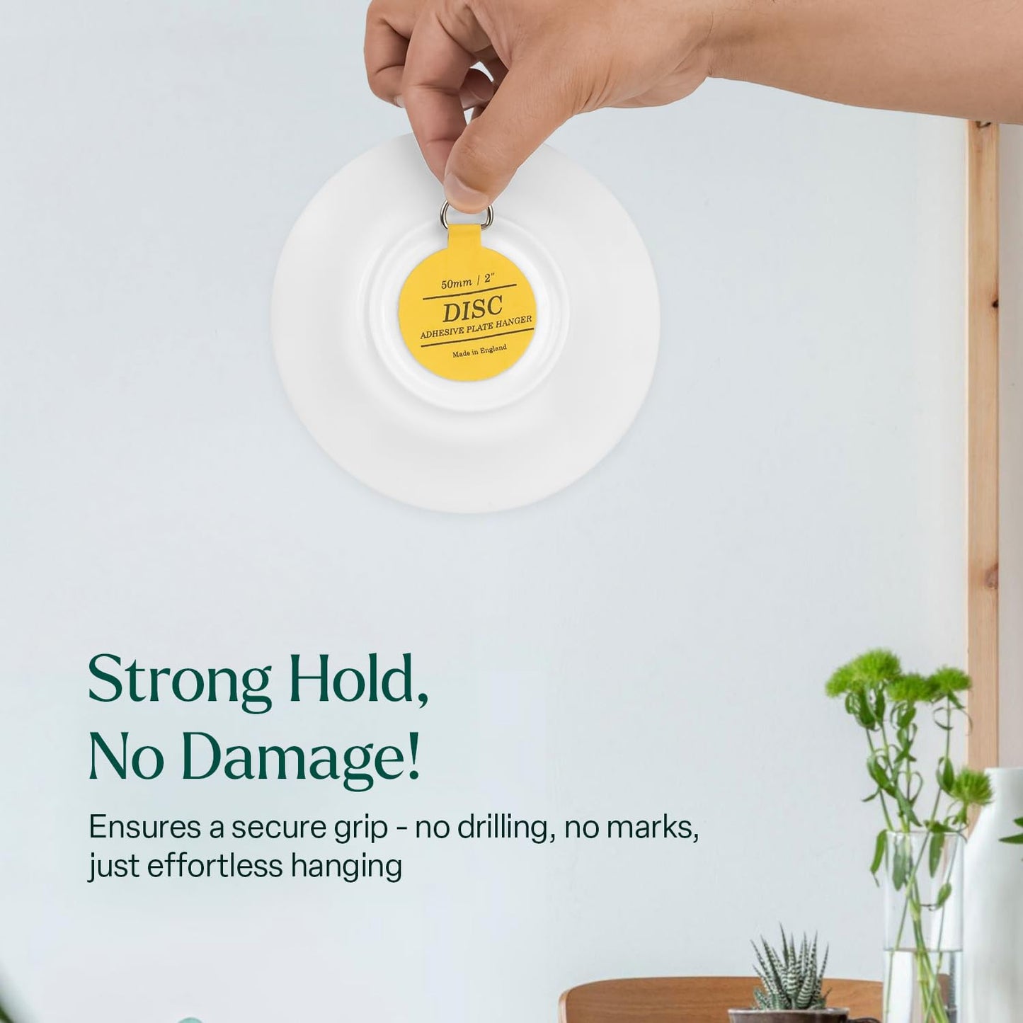 Disc Plate Hangers for Walls - (50mm / 2'' (Pack of 5)