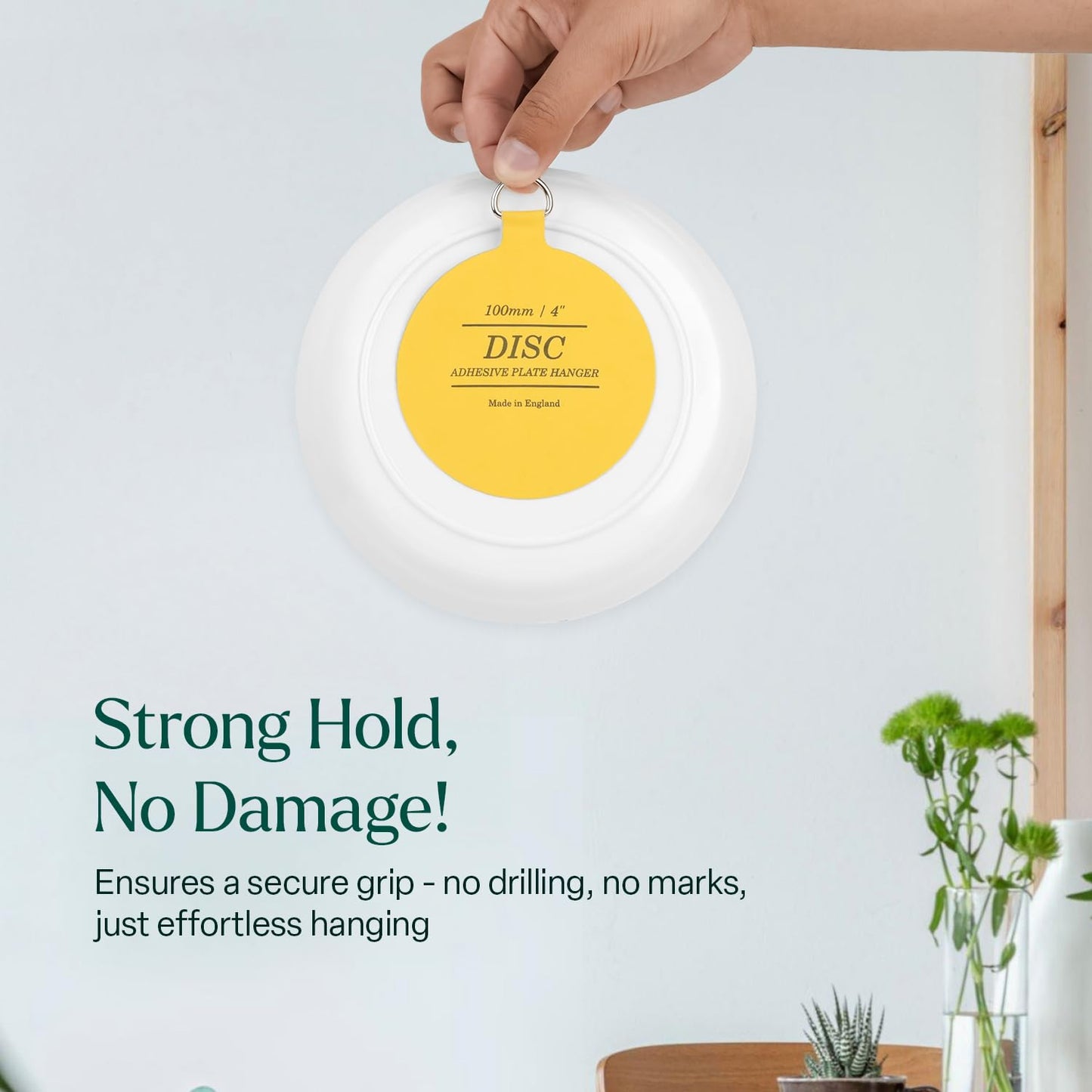 Disc Plate Hangers for Walls (100mm / 4'' (Pack of 5)), Yellow