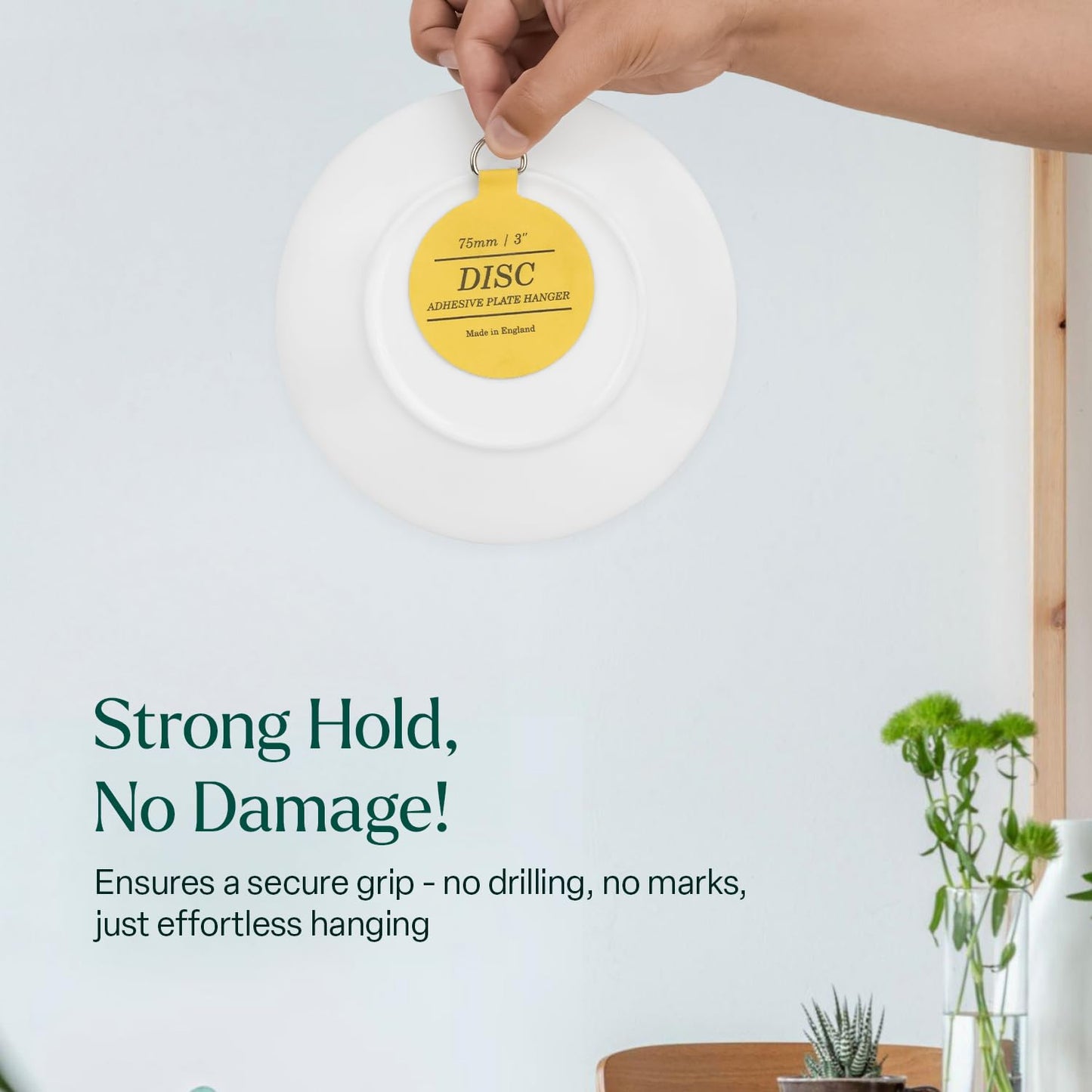 Disc Plate Hangers for Walls (75mm / 3'' (Pack of 5)), Yellow